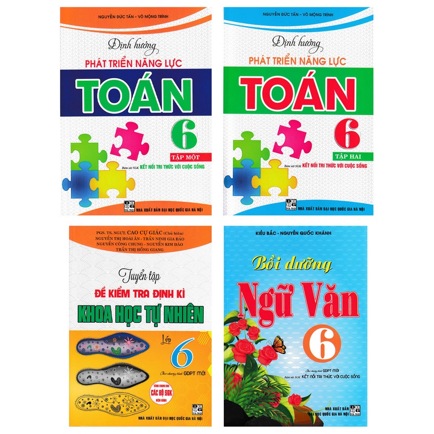 Sách - Combo Tham Khảo Toán - Văn - Khoa Học Tự Nhiên Lớp 6 (Bộ 4 Cuốn)