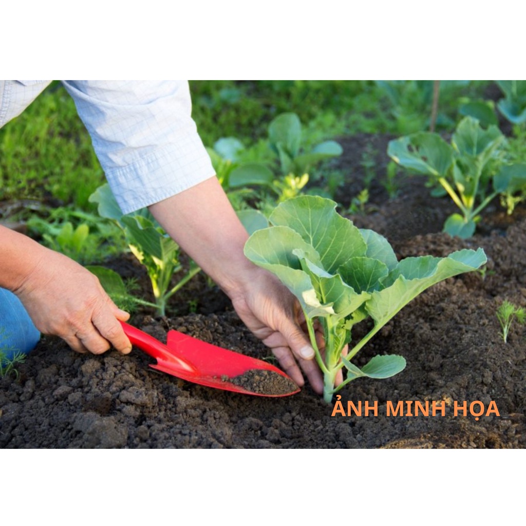 Bánh Dầu Đậu Phộng Nguyên Chất Phân Bón Hữu Cơ Cho Mọi Cây Trồng  - 1KG