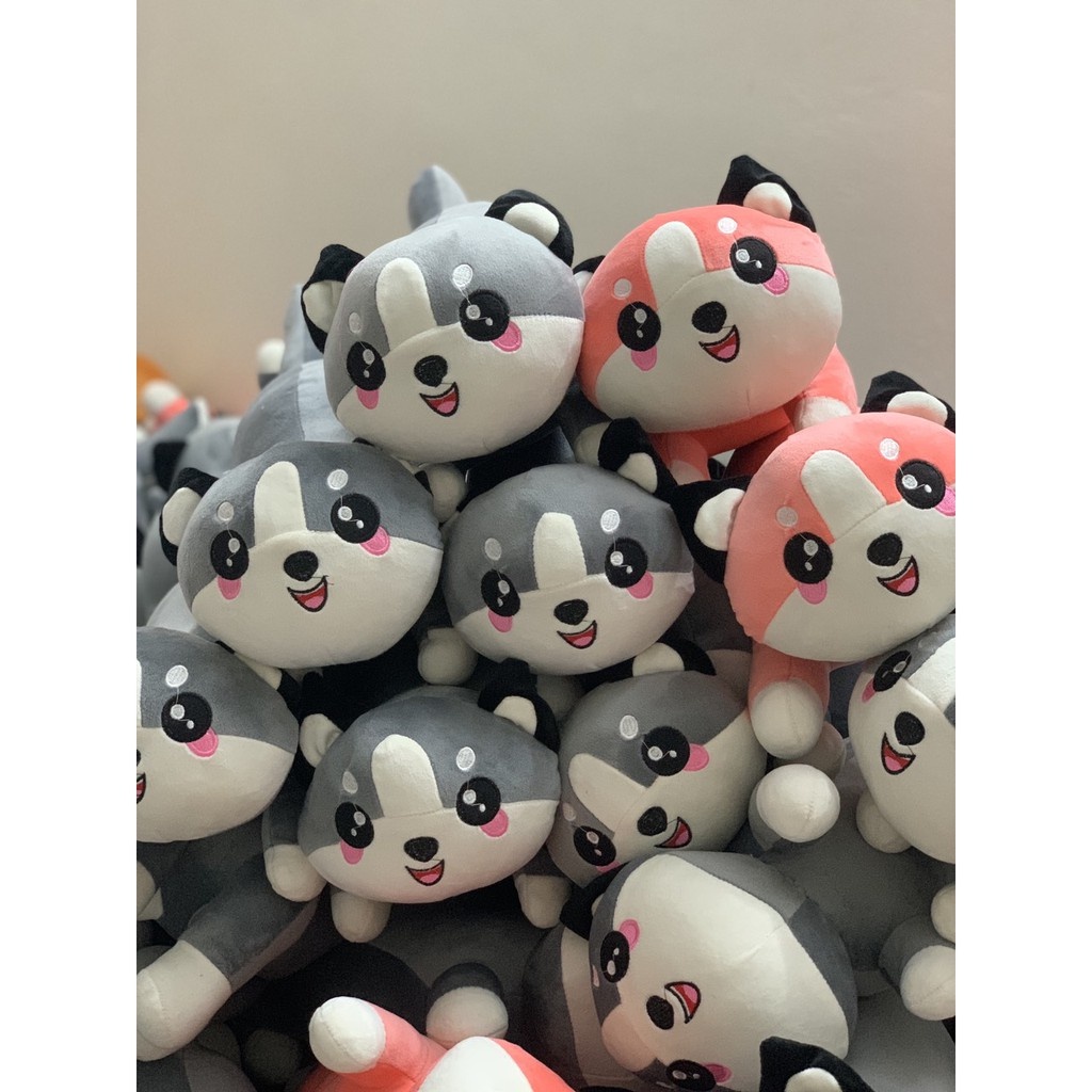 Mèo Bông, Mèo Bi, Mèo Husky Siêu đáng yêu MiNI Size 30cm ❤️Xưởng Gấu Hoa Bình❤️