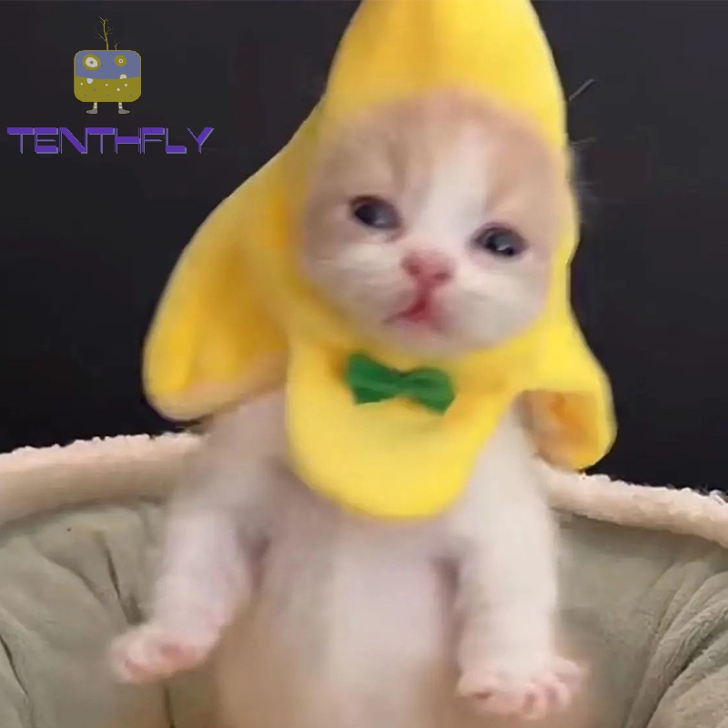 Mũ Lông Hóa Trang Quả Chuối Mèo Sáng Tạo Dễ Thương Dùng Làm Đạo Cụ Chụp Ảnh Cho Mèo Cưng