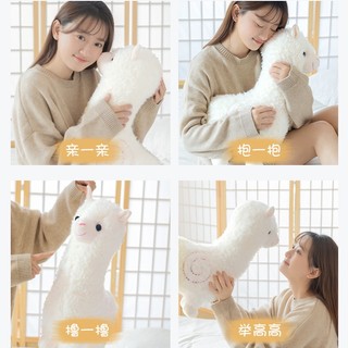 Phụ Kiện Chuyên Dụng Cho Búp Bê