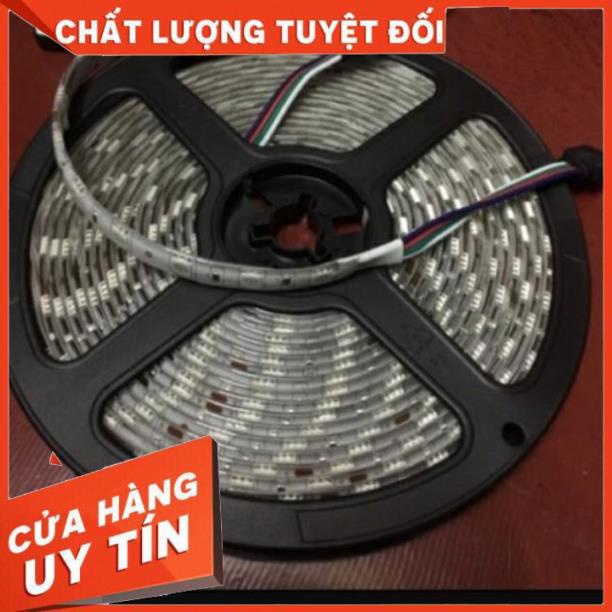 Hot Dây led 24V-7 Màu chống nước gồm cả khiển