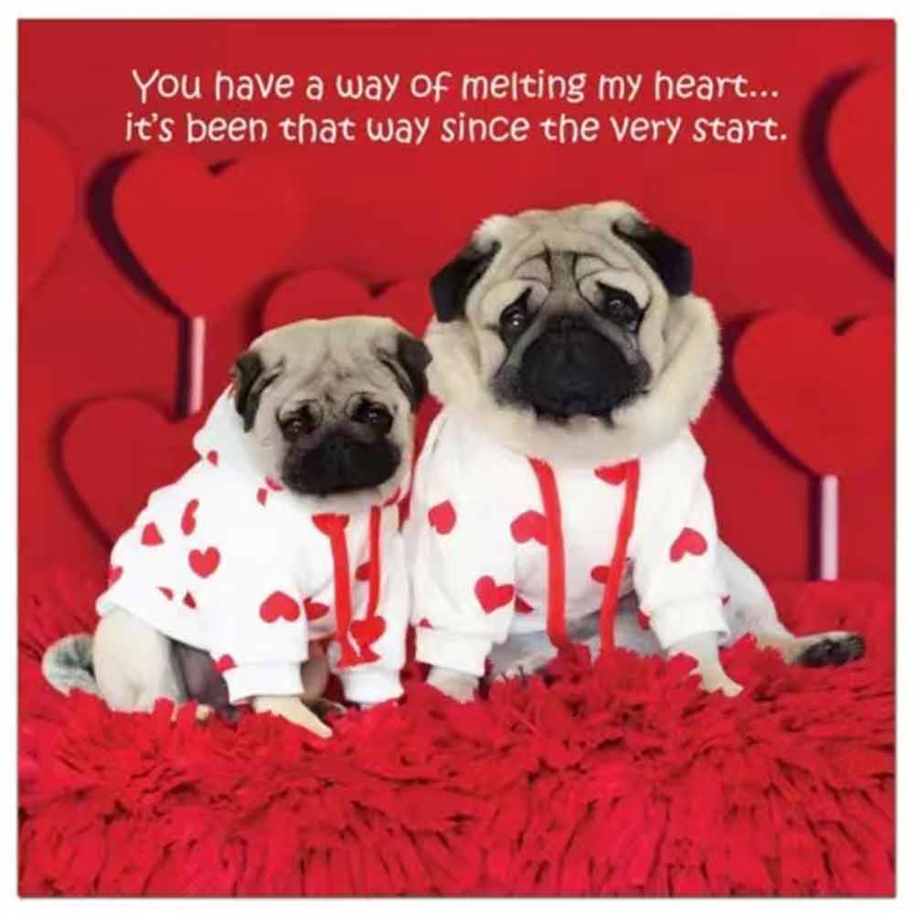 Pugs and Kisses 2024 Calendar Dog Breed Wall Calendar Month to View Calendar