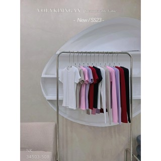 Set áo trơn basic đệm vai td+tn louis.h