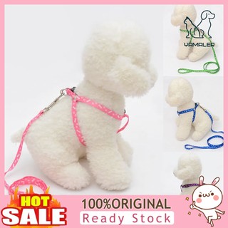 Dây dắt thú cưng đi dạo 120cm điều chỉnh được