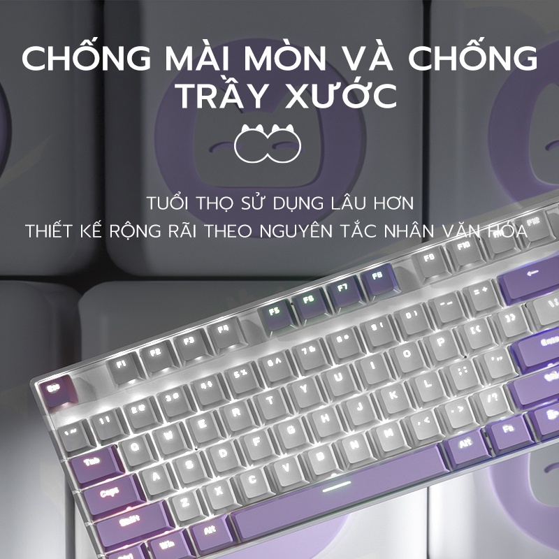 Bàn Phím Cơ Gaming Không Dây Bluetooth BASIC KB14 Brown/Blue Switch 87 Phím Màu Tím/xanh/hồng Có đèn,3 Chế độ Kết Nối