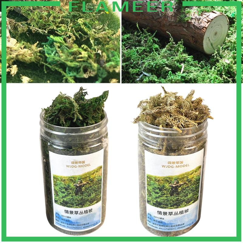 Cluster Cỏ Nhân Tạo Dùng Để Trang Trí Mô Hình Bãi Cỏ tuft Mini diy