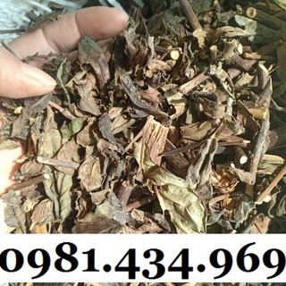 Chuẩn - cây bầu đất khô 01kg hàng rừng chuẩn