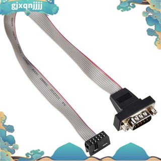 Cáp kết nối db9 rs232 sang 10 pin gjxqnjjj