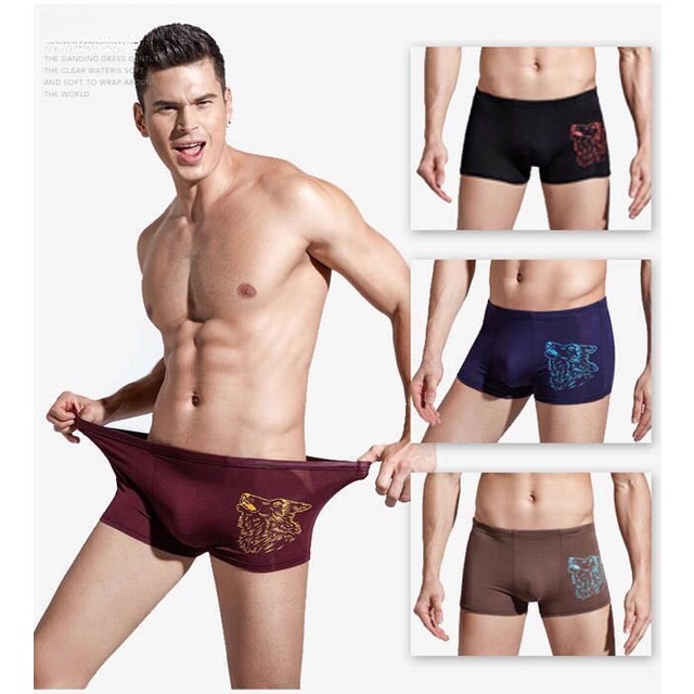 Bộ 4 Quần Lót boxer Cho Nam