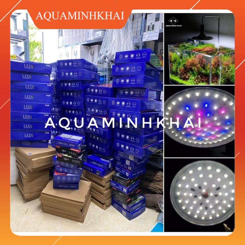 Đèn led Xinma 20w, 40w (Trắng và WRB) bể thuỷ sinh, bể cá
