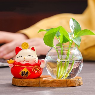 Chậu Trồng Cây Thủy Sinh Mini Để Bàn Làm Việc Kèm Tượng Chú Mèo Thần Tài, May Mắn Lạc Quan Vui Vẻ