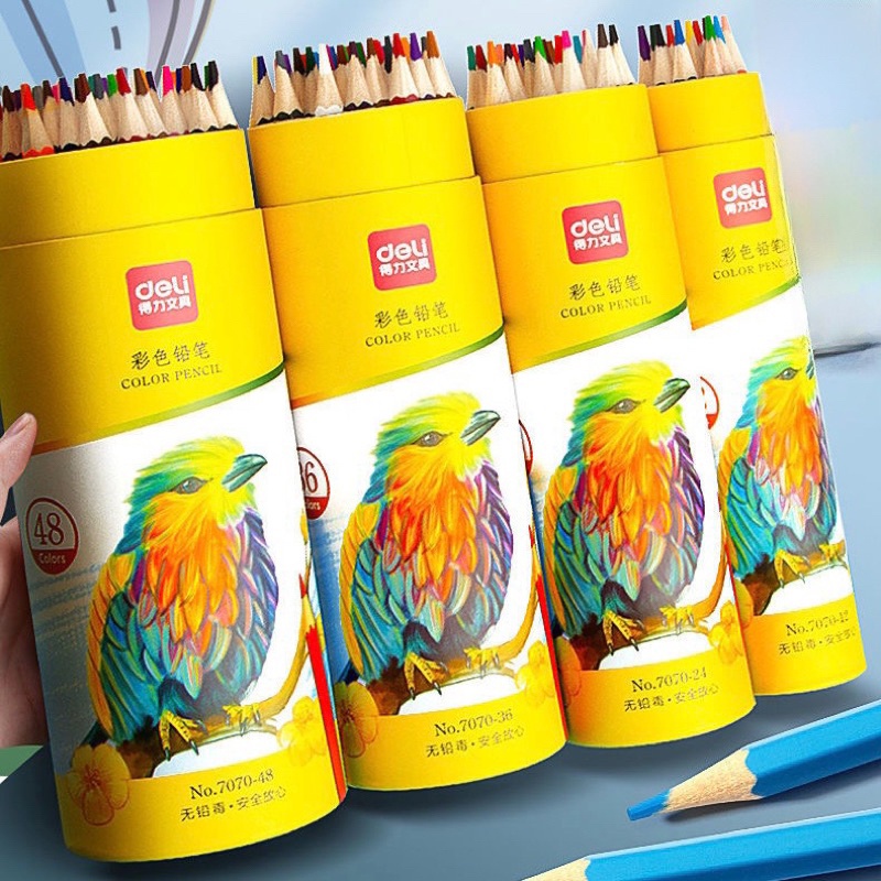 PVN61160 Bút chì màu dạng cốc Deli 48 màu tươi sáng T2