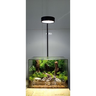 Mô hình hươu trang trí Epoxy resin đủ size