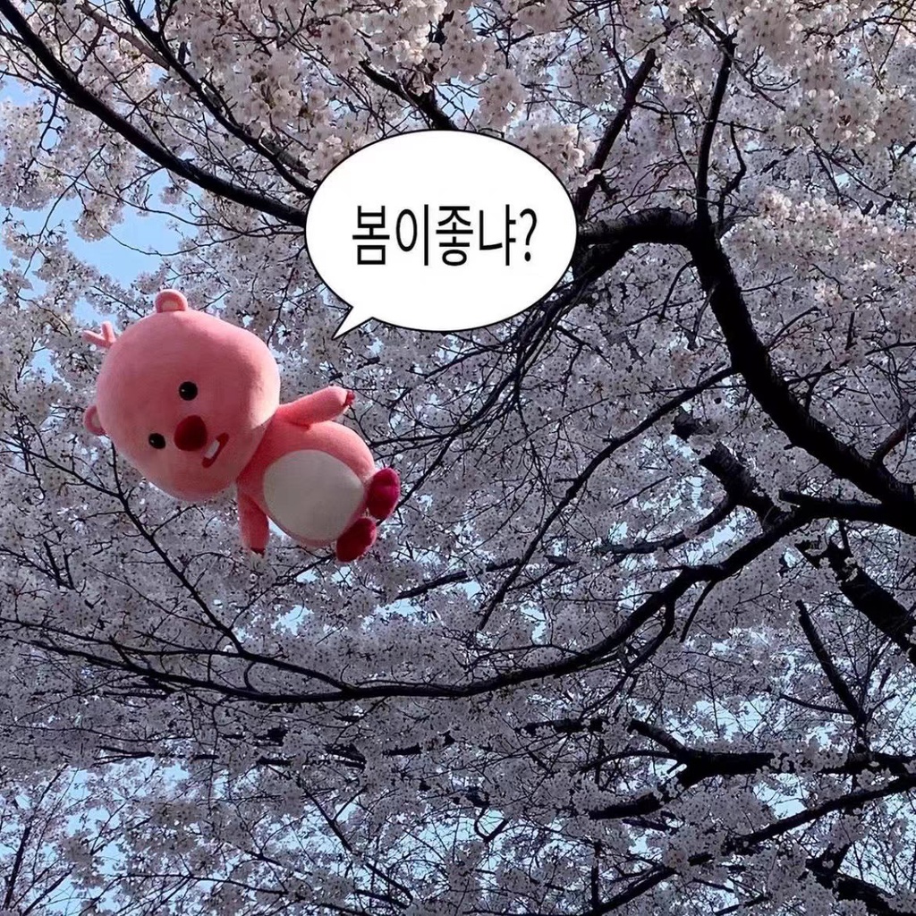 Gấu bông hải ly Loopy MEEKO