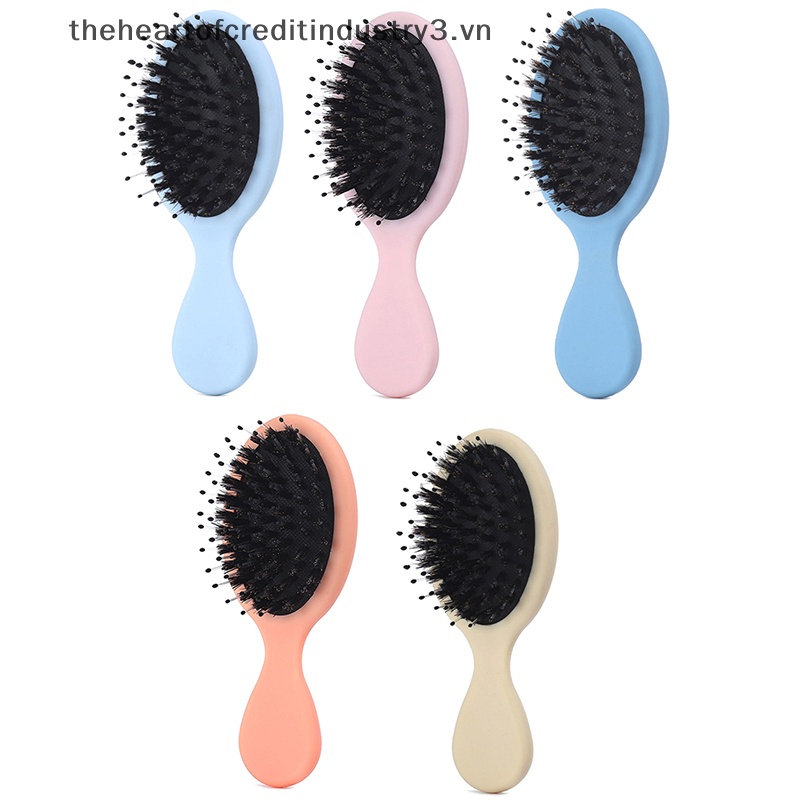 1 Lược Chải Tóc massage Da Đầu Lông Heo Hình Bầu Dục Lông nylon mini Chống Tĩnh Điện Chăm Sóc Tóc salon.