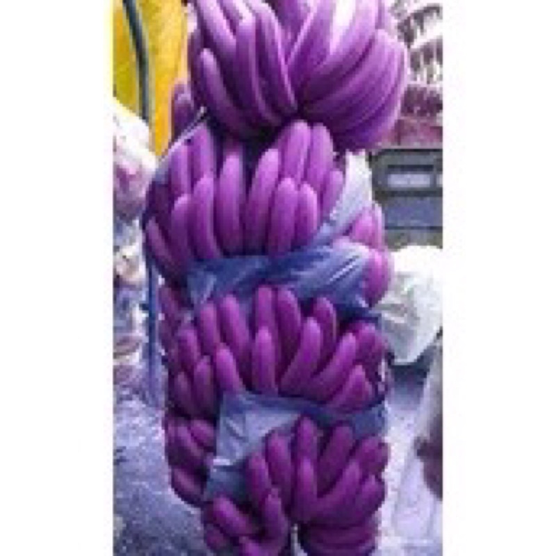 Cây giống chuối tím 50cm - Cây Giống Tốt