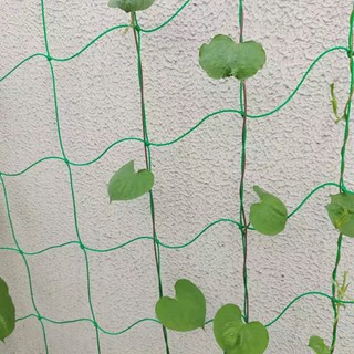 Lưới làm giàn leo, Lưới làm giàn cây leo, Lưới giàn mướp, nho, bầu bí, cây hoa, dưa chuột - TYriyongpin