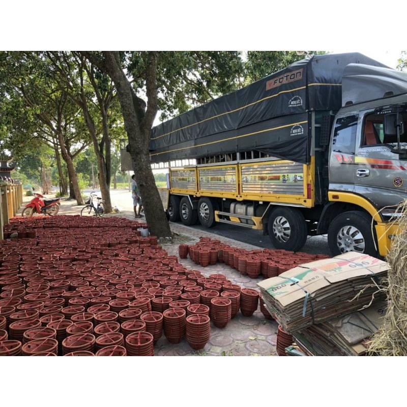 Chậu đất nung trồng lan tặng  kèm móc kẽm treo lan dài 70cm