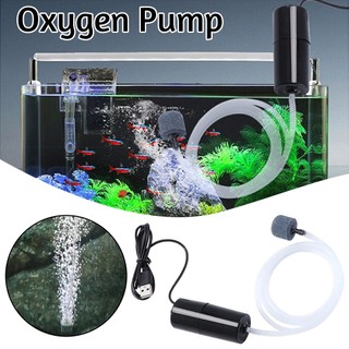 Hệ Thống Bơm Oxy Cho Bể Cá Cổng usb