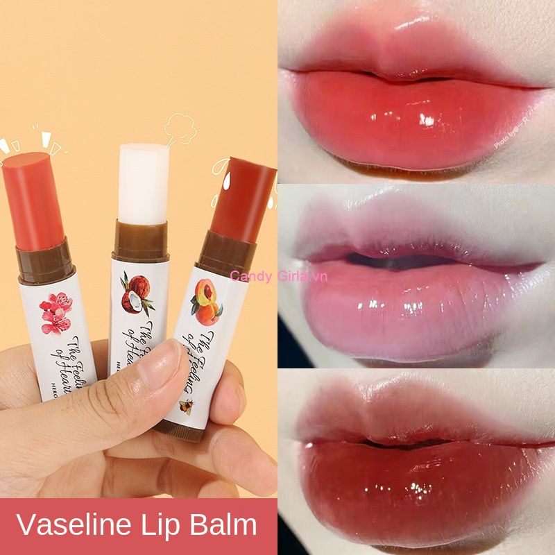 ✔Son Dưỡng Môi Màu Candy HANBOLI Dạng Thạch Trái Cây SHEMIN Màu Thân Thiện Với Da Son Dưỡng Môi Nội địa Trung Quốc Siêu Hot SHEMIN Candygirla.vn