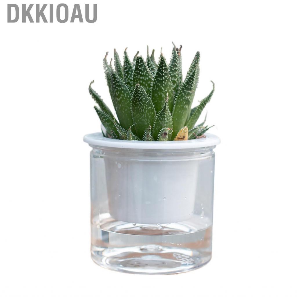 Dkkioau Flower Pot Indoor Self Absorbed Watering Planter Transparent Container for Office Home