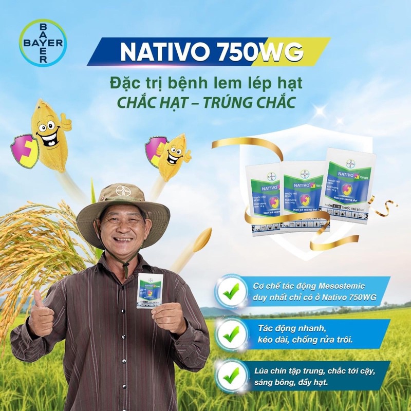 NATIVO 750ƯG 6g Sản phẩm trừ bệnh, nấm sung, Gỉ sắt, Thán thư, đốm lá, phấn trắng hoa cây cảnh