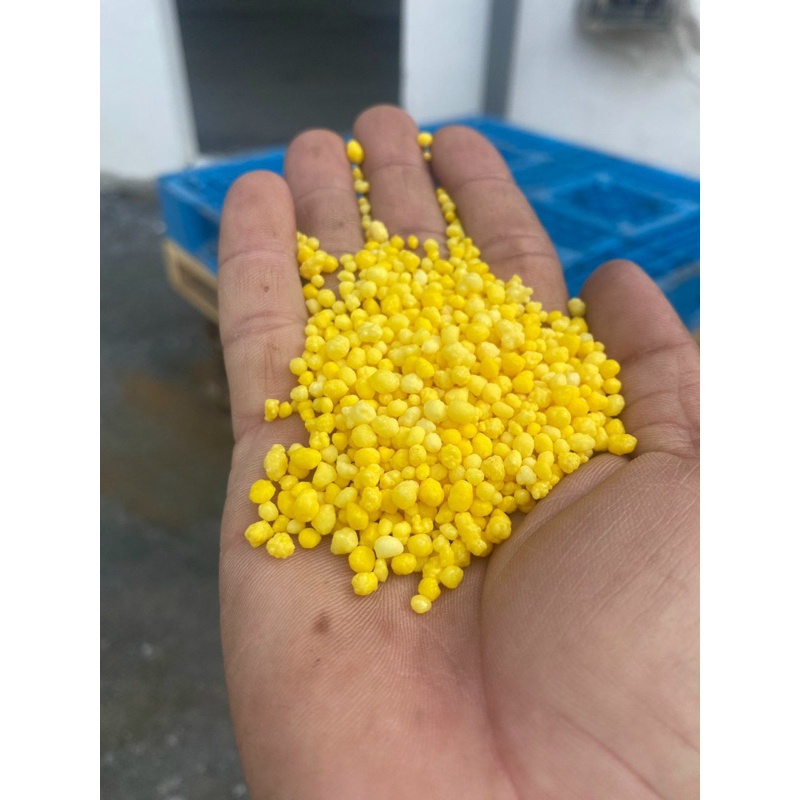 1KG Phân bón Canxi Bo chống rụng trái non, hết xì mủ