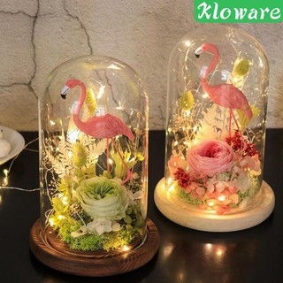Đế gỗ có lồng thủy tinh tiện dụng cho trang trí DIY