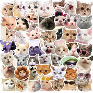  Set 50 Hình Dán Sticker Meme Mèo Cute Hài Hước Chống Thấm Nước Trang Trí Mũ Nón Bảo Hiểm Ván Trượt Laptop Xe Đạp Sổ 