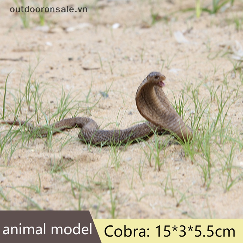 Đồ Chơi Mô Hình Rắn Giả Giống Thật Làm Quà halloween