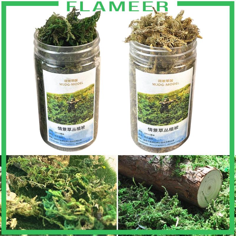 Cluster Cỏ Nhân Tạo Dùng Để Trang Trí Mô Hình Bãi Cỏ tuft Mini diy