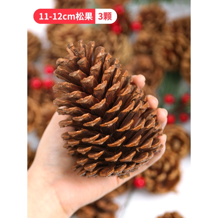 Quả thông tự nhiên trang trí Noel làm thủ công handmade - Steam