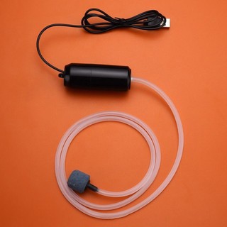 Hệ Thống Bơm Oxy Cho Bể Cá Cổng usb