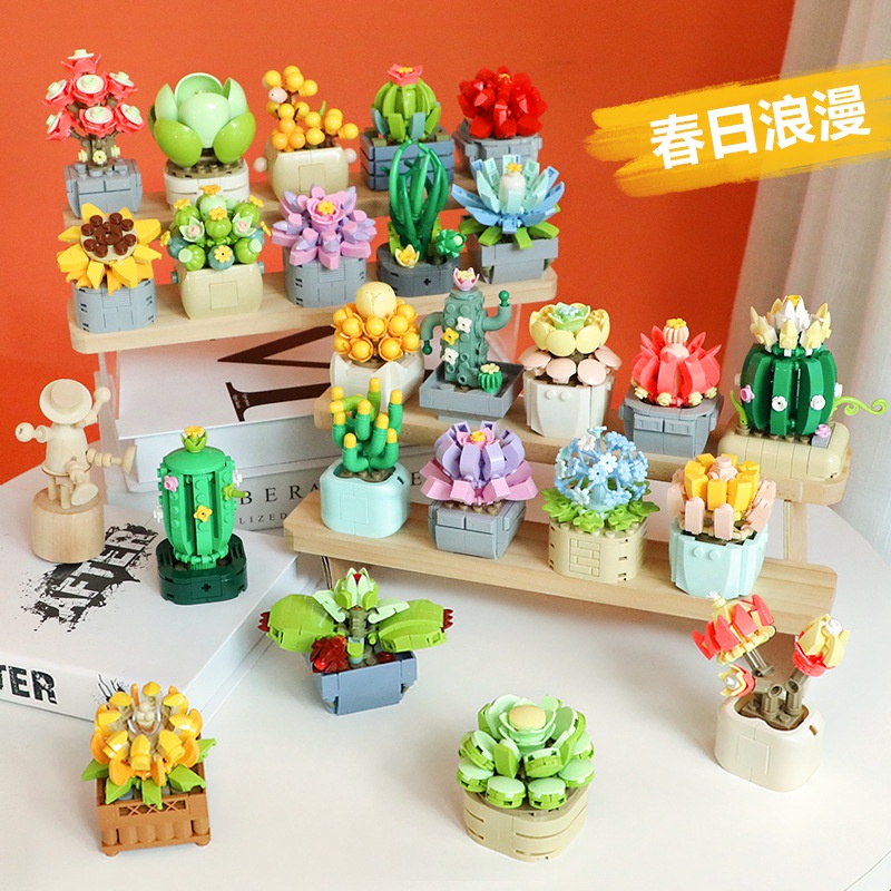 Đồ Chơi Lắp Ráp Mô Hình Xương Rồng luna lily, ruby, Hoa Sen Tuyết Nhỏ