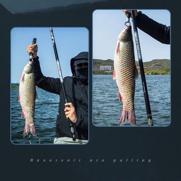 Cần Câu Tay Biquan Đạt Nhĩ Ba Chính Hãng Độ Cứng 15H Săn Hàng Cao Cấp Bảo Hành 1 Năm Tặng