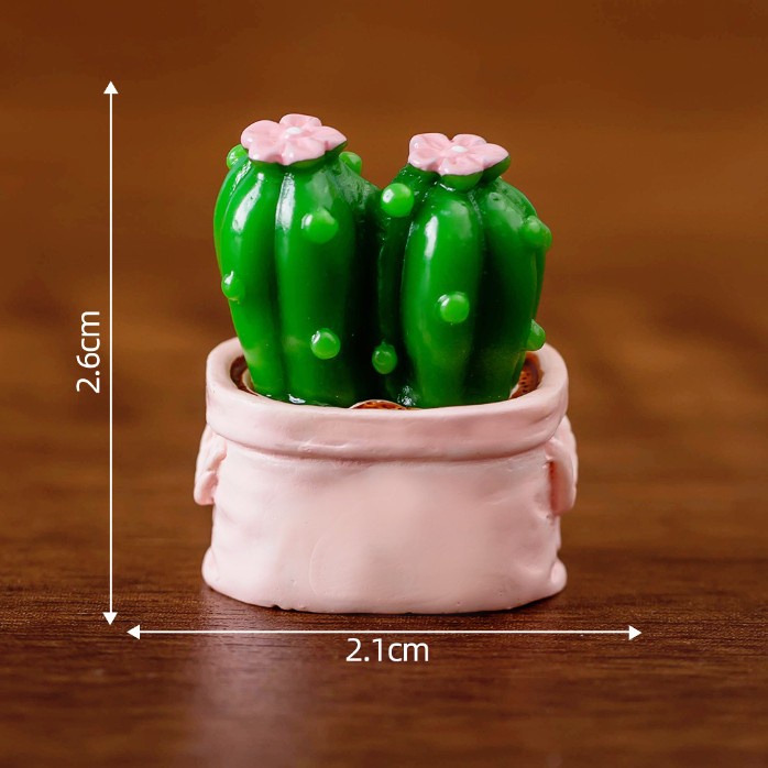 Mô hình túi xương rồng dễ thương decor bàn học, terrarium