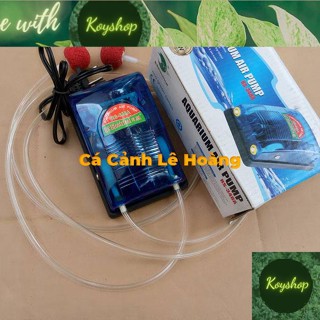 Máy Sủi Khí Oxi Bể Cá Cảnh, Hồ Cá RS 348A 2 Vòi Tăng Ngay 2 Dây Sủi + 2 Viên Sủi