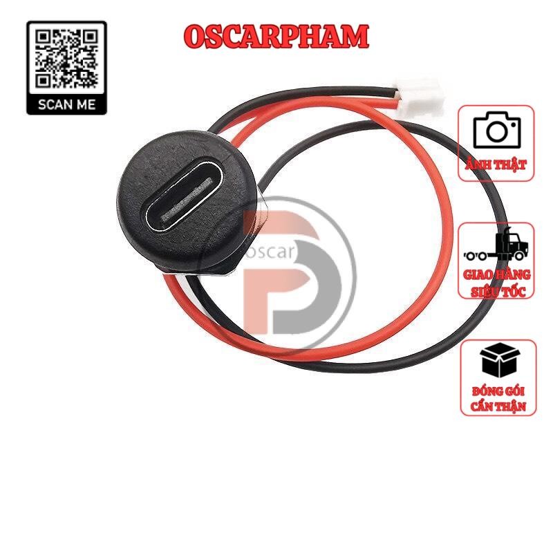 [Rẻ vô địch] [Ảnh thật] Chân sạc type C 2p-4p 11mm