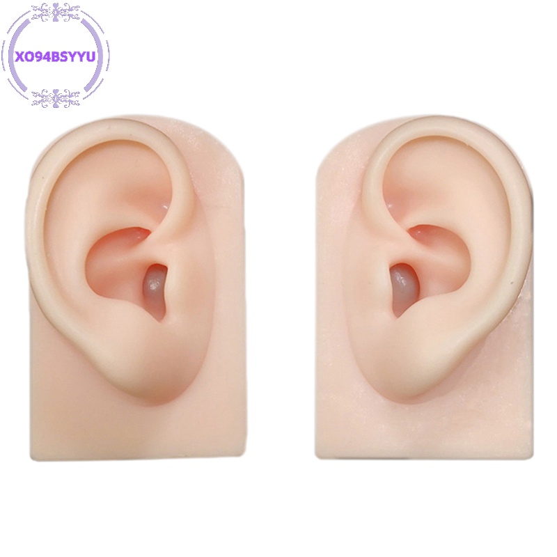 Mô Hình Trưng Bày Bông Tai Bằng Silicon Xo94Bsyu vn
