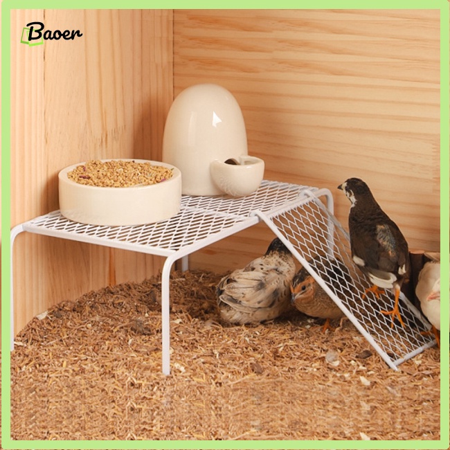 Kệ Lưới Để Gà 100% Bằng Thép Không Gỉ Tiện Dụng