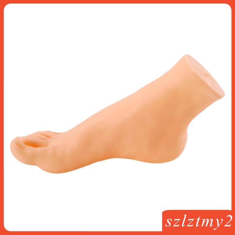 Mô Hình Bàn Chân Ma Nơ Canh Trọng Lượng Nhẹ Trưng Bày Vớ