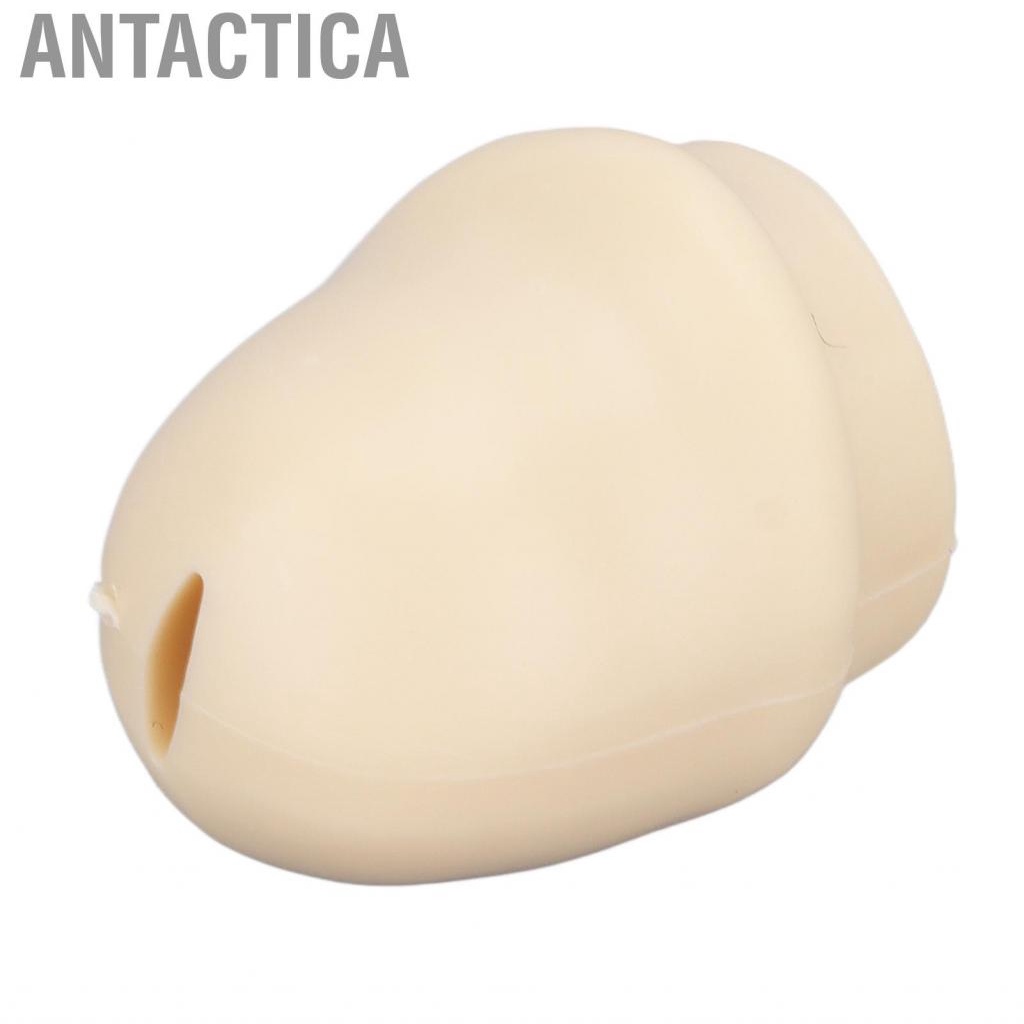 Antactica Toothpaste Topper  Safe Plastic Toothpaste Cap for Daily Hygiene