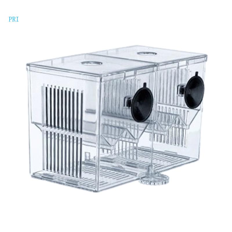 Hộp Ấp Trứng Cá Mini Tiện Lợi