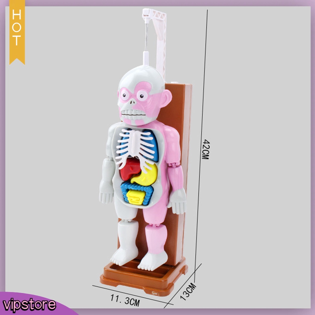 Set 37 Thẻ Ma Nơ Canh Có Âm Thanh Hóa Trang halloween