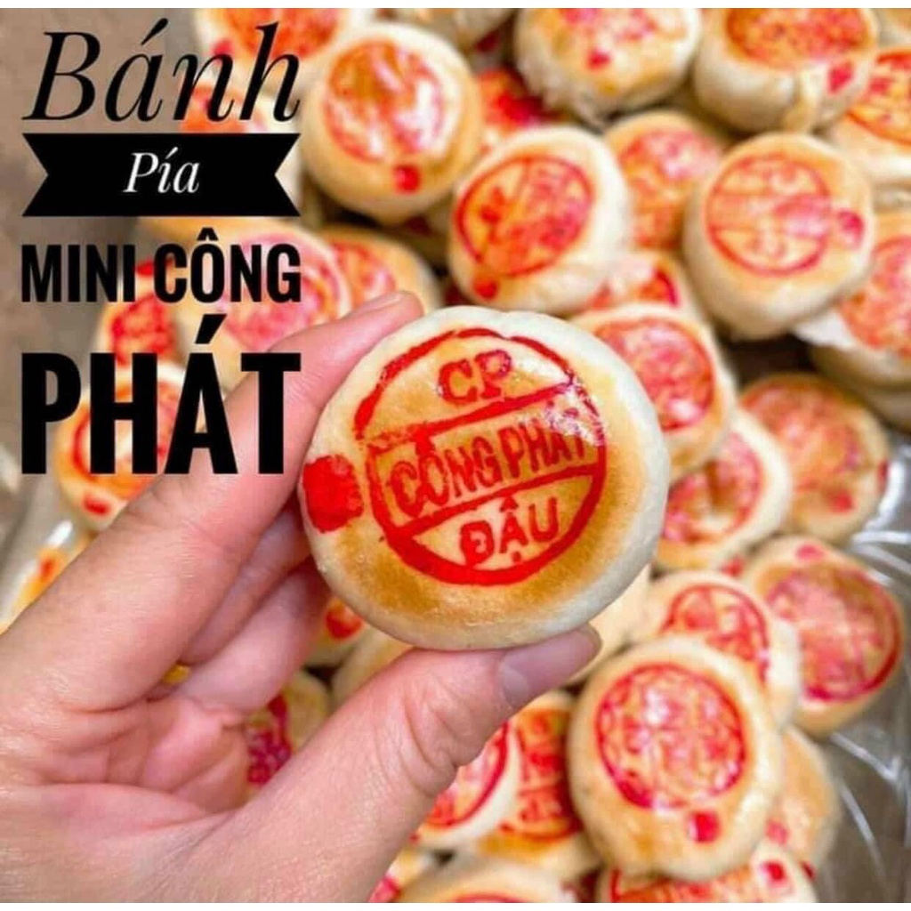10 CÁI BÁNH PÍA SẦU RIÊNG MINI