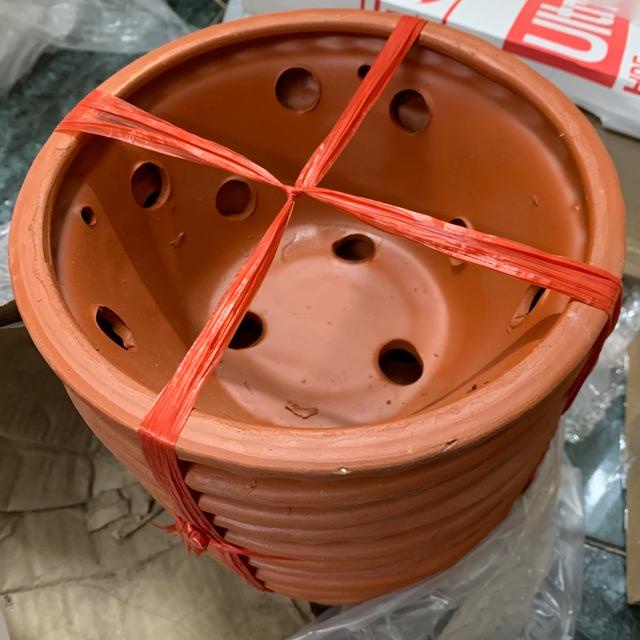 Chậu đất nung trồng lan tặng  kèm móc kẽm treo lan dài 70cm