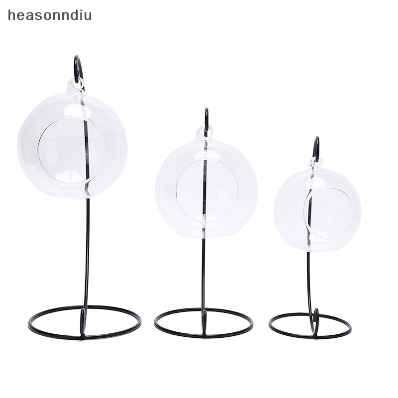 Bình Hoa Thủy Tinh Trong Suốt Hình Cầu Treo Trang Trí Hồ Cảnh terrarium vn