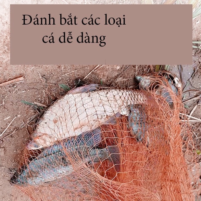 Chài Dù Bắt Cá Cao Cấp Mắt 2.4cm và 3.5cm Bung 5M-6M-8M Nặng 2.5kg - 3kg - 4kg - 5Kg