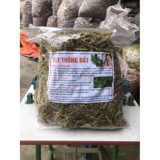 Cây thông đất khô đóng túi 1kg